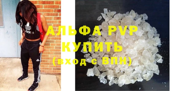 стаф Инсар