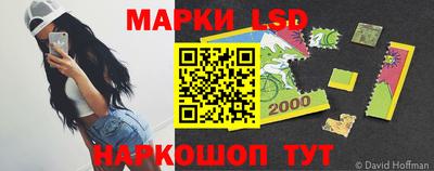 спиды Кандалакша