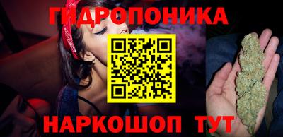 скорость Камышлов