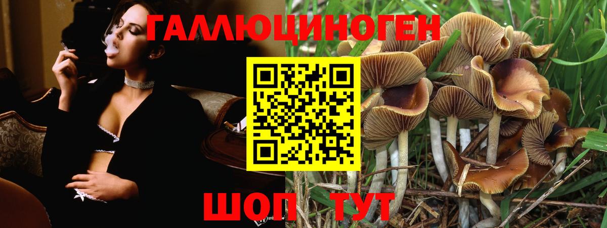 Псилоцибиновые грибы Magic Shrooms Нижнекамск